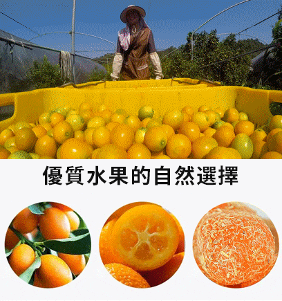 1705296434755346.gif 1.gif